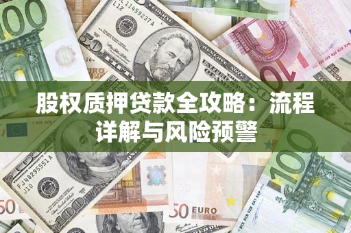 北京股权质押贷款全攻略：流程详解与风险预警