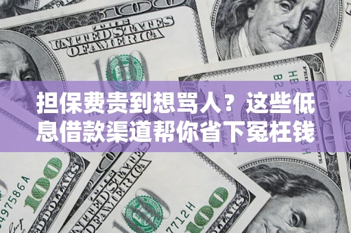 北京担保费贵到想骂人？这些低息借款渠道帮你省下冤枉钱