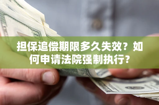北京担保追偿期限多久失效？如何申请法院强制执行？
