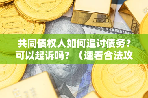 北京共同债权人如何追讨债务？可以起诉吗？（速看合法攻略）