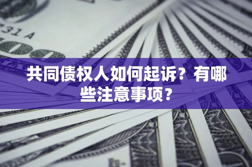 北京共同债权人如何起诉？有哪些注意事项？